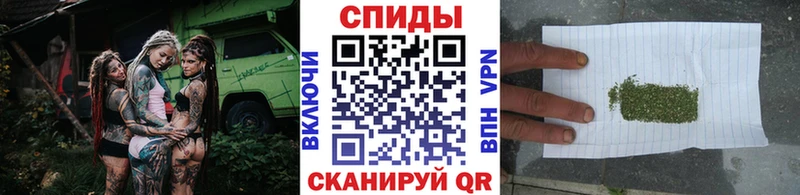 где можно купить наркотик  Дубовка  kraken зеркало  БУТИРАТ буратино 