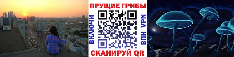 Псилоцибиновые грибы прущие грибы  цена наркотик  Дубовка 